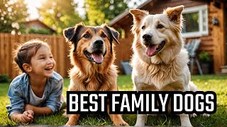 The Best Family Dogs Youve Never Heard Of [upl. by Sivlek]