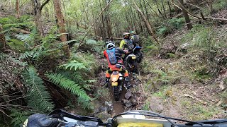 HARD ENDURO CREEK RIDE  IT WAS SUPPOSED TO BE A CRUISY DAY🤦‍♂️😂 [upl. by Anderea546]