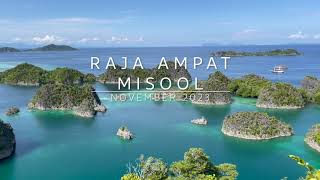 Raja Ampat amp Misool Liveaboard Trip on the Coralia  SeaCrush November 2023 [upl. by Kaitlin431]