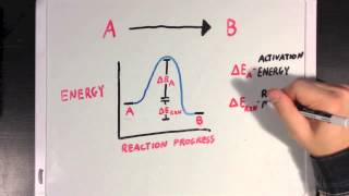 Enzymes and Activation Energy [upl. by Crabb]