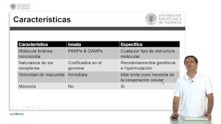 Tipos de Respuesta Inmunitaria   UPV [upl. by Netsirhk]