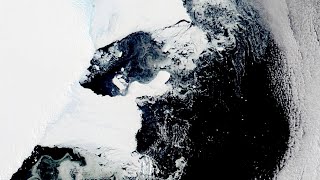 Worlds largest iceberg breaks free heads toward Southern Ocean [upl. by Sabrina184]