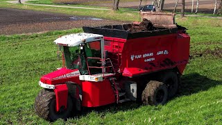 Vaste mest strooien  Spreading solid manure  Festmist ausbringen  Vervaet  Tebbe  Terex [upl. by Ellene893]