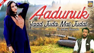 Aadunuk Yaad Juda Mai Judai By Ashiq Hussain [upl. by Ahsinotna]