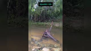 3 Acres beautiful landscape property with natural water body for sale in Coorg [upl. by Aesoh237]