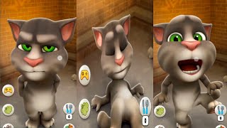 🤣Talking ToM 🍌🐒🌶️🐈 How to cat games talking to cat and friends talkingtomtimerushtalkingginger [upl. by Nitsyrk]