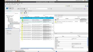 TIBCO BusinessWorks ProcessMonitor Overview [upl. by Yrrej592]