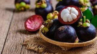 How to grow Mangosteen｜Growing Mangosteen from seed [upl. by Marjana547]