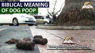 Biblical Meaning of Dogs Poop in Dreams  Dream About Dog Poop [upl. by Raff]