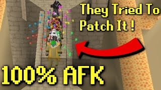 Jagex Tried To Patch AFK Agility But They Failed [upl. by Rosalee928]