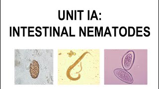 Unit 1 Intestinal Nematodes Indepth Review [upl. by Losiram]