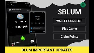 Updates Blum Wallet Connect  Binance labs BLUM [upl. by Assirehc]