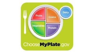 Introducing the New Food Icon MyPlate [upl. by Aivato]