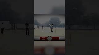 Stumps 💥 cosco coscocricket shortsfeed [upl. by Shirlene]