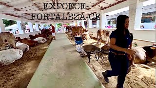 EXPOECE 2023 EP78423 [upl. by Acire]