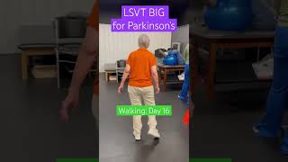 LSVT BIG for Parkinson’s [upl. by Niliak658]