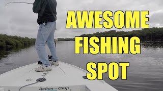 Fishing Floridas Loxahatchee River [upl. by Maire]