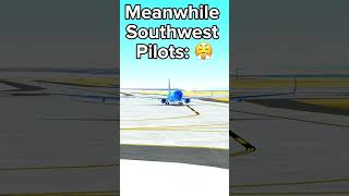 Southwest pilots 🥶🥶 [upl. by Celestina]