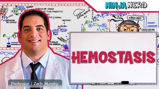 Hematology  Hemostasis Coagulation Cascade [upl. by Bilicki400]