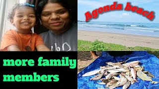 Agonda Beach  Fresh Fish From Sea  Miraculous cross In Agonda And Lots More [upl. by Ahseinar]