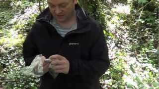 Live trapping of small mammals [upl. by Koral]