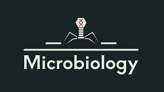 tut 1 micro Rickettsia and coxsilla p2 [upl. by Aseretairam]