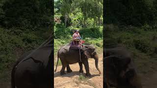 Hathi mera Sathi music cover thailandtravel tourism [upl. by Goodwin]