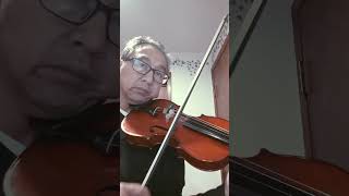 Vivaldi Violin Concerto in E minor RV 277 II Andante [upl. by Tnias]