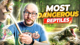 The 5 Most Dangerous Reptiles In The World [upl. by Innis]