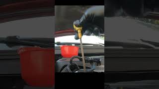 How to check dipstick oil level [upl. by Illoh769]