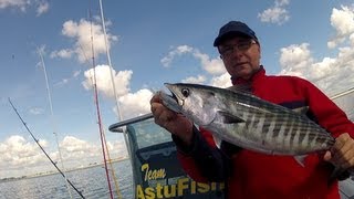 La pêche sportive de la bonite en Bretagne AstuFish [upl. by Lhamaj448]