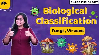 Biological Classification Class 11 Biology NCERT Chapter 2  CBSE  Kingdom Fungi Viruses Viriods [upl. by Kcim298]