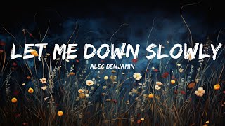 Alec Benjamin  Let Me Down Slowly Lyrics  Lyrics Melodic [upl. by Esiuole]