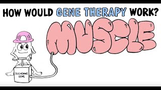 Gene Therapy amp Duchenne Muscular Dystrophy [upl. by Hayotal]