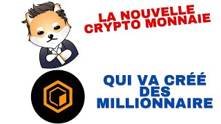 Une Crypto Monnaie Qui pourraient Vous rendre Riche au Bullrun Elon [upl. by Llednar]