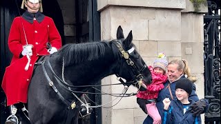 quotLaughing with the Horse Guards Hilarious Moments at Londons Horse Guard Paradequot [upl. by Martineau321]