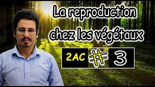 La reproduction chez les végétaux  2AC  part 3  شرح بالدرجة [upl. by Hershell]