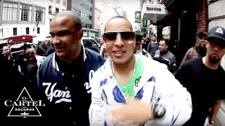 Daddy Yankee  New York City VEVO Headquarters Tour 2011 Live [upl. by Nanreit]