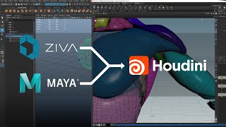 Houdini Muscle Simulation for Maya amp Ziva Users  by Carlos Puigdollers VFXCreature Supervisor [upl. by Chafee]