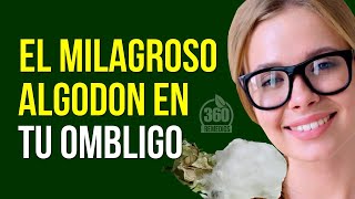 El Milagroso ALGODON EN TU OMBLIGO [upl. by Xylia]