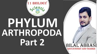 Phylum Arthropoda Part 2 II 11 Biology Chapter 10 by Scientia  UrduHindi [upl. by Etteuqal]