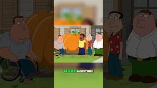 Family Guy 2024 Season 22 Ep 16 Pumpkin Contest Rivalry Can I Beat Patrick McCloskey suscribe [upl. by Aicnarf642]