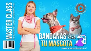 Bandanas para tu Mascota  Obtendrás variedad de moldes y diseños [upl. by Sara]