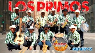 LOS PRIMOS DE ILLESCAS POPURRI DE CUMBIAS EN VIVO [upl. by Priestley]