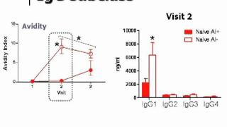 The Immunology of OilinWater Adjuvants for Influenza Vaccines [upl. by Ollehto424]