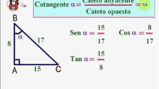 RAZONES TRIGONOMÉTRICAS DE UN ÁNGULO AGUDO [upl. by Radnaxela]