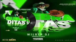 Quebraditas Mix 2024 By Wilber Dj Producciones Zona Music Records Poder Latino [upl. by Nnylrac]