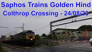 Saphos Trains Golden Hind Railtour passing Colthrop Crossing  24th August 2023 [upl. by Eenwat]