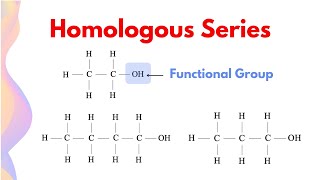 Difference Between Homologous Series and Functional Group  HSC Chemistry [upl. by Tamqrah830]