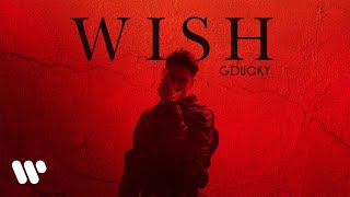 GDUCKY  WISH OFFICIAL MUSIC VIDEO [upl. by Animahs632]